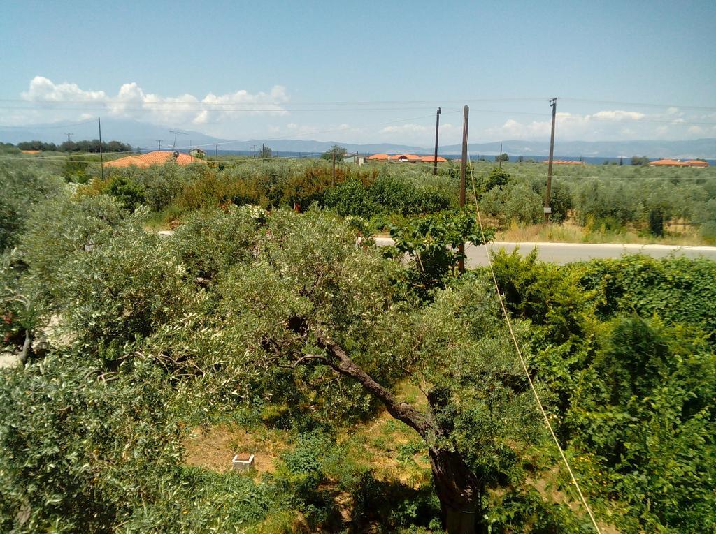 Villa Thomi Skala Rachoni  Exterior foto